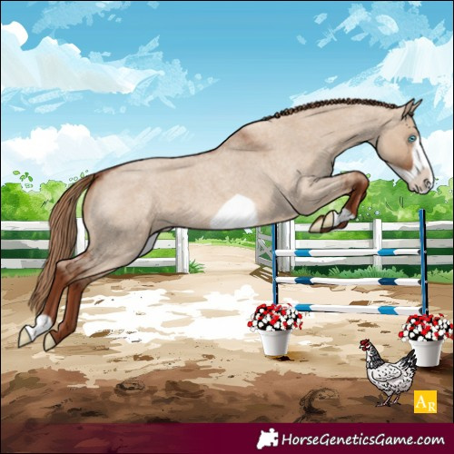Horse Color:Red Dun Roan Frame