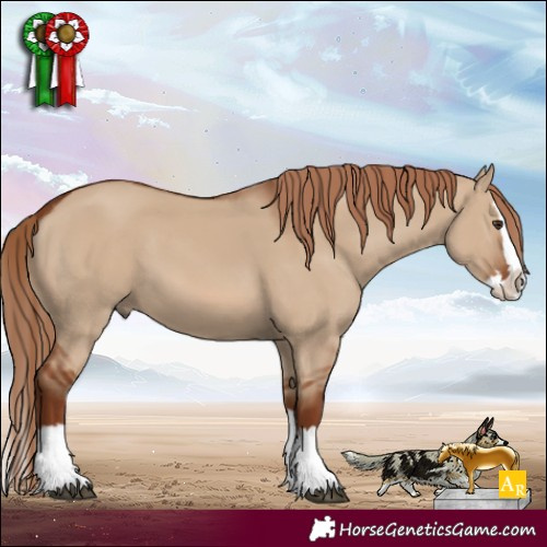 Horse Color:Red Dun Splash