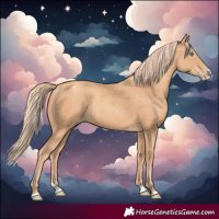 Horse Color:Gold Champagne Splash 