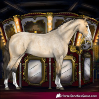 Horse Color:Buckskin Roan Splash