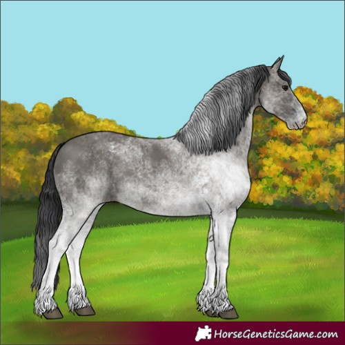 Horse Color:White Spotted Grullo Rabicano