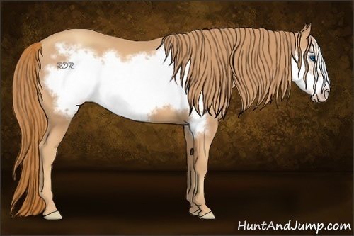 Horse Color:Gold Champagne Frame 