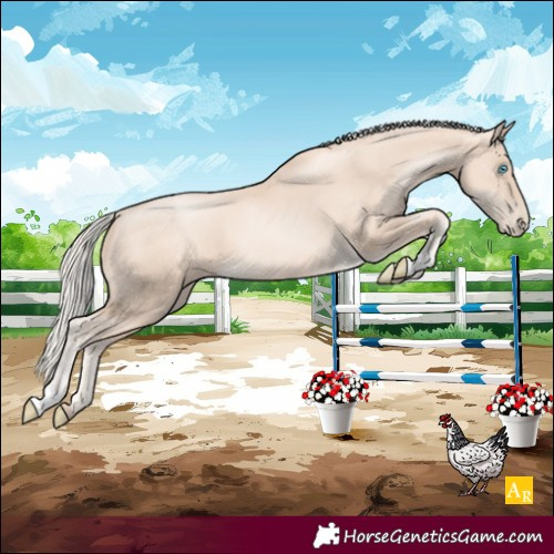 Horse Color:Unknown 