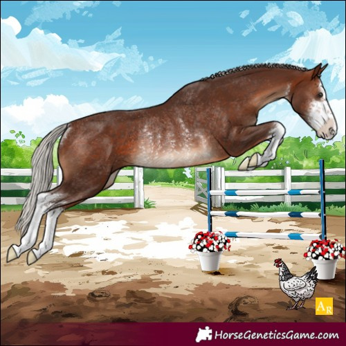 Horse Color:White Spotted Silver Brown Rabicano