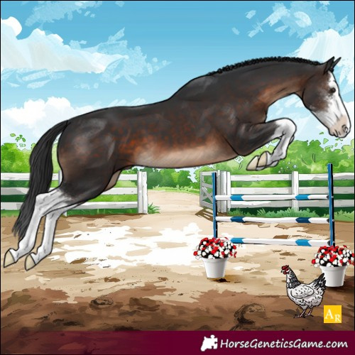 Horse Color:Brown Sabino Splash 