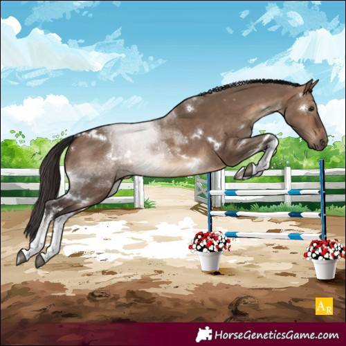Horse Color:White Spotted Brown Dun 