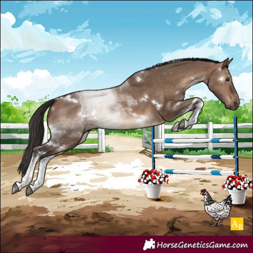 Horse Color:White Spotted Brown Dun 