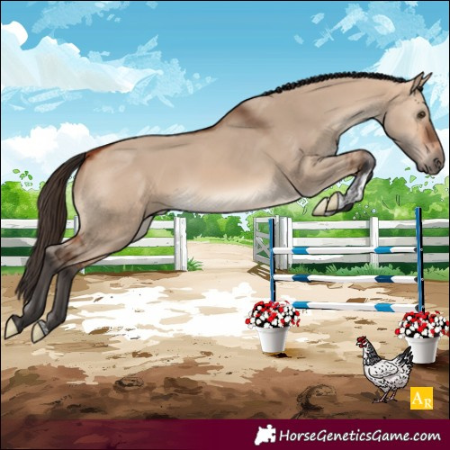 Horse Color:Bay Dun Sabino