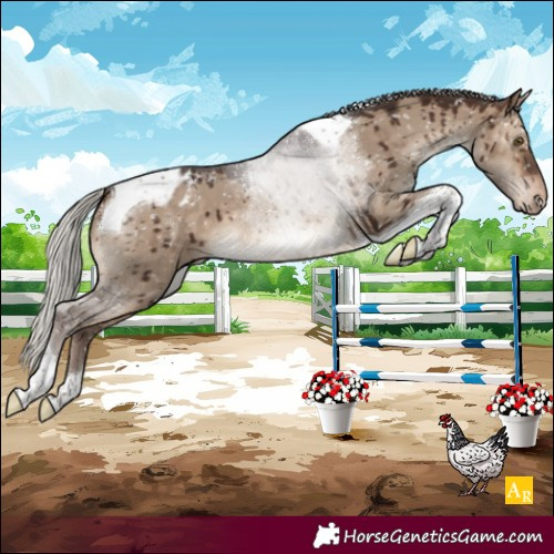 Horse Color:Silver Brown Dun Tobiano Blanket Brindle