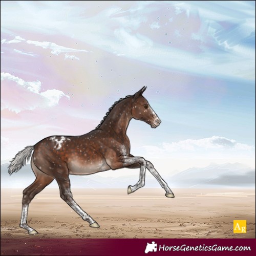 Horse Color:White Spotted Silver Brown Mushroom Tobiano Appaloosa