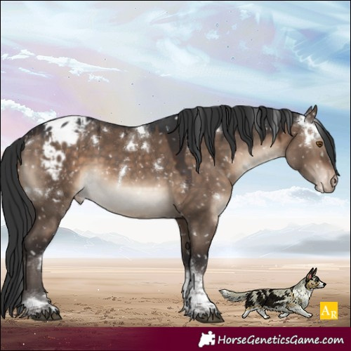 Horse Color:White Spotted Brown Dun Tobiano Blanket Rabicano 
