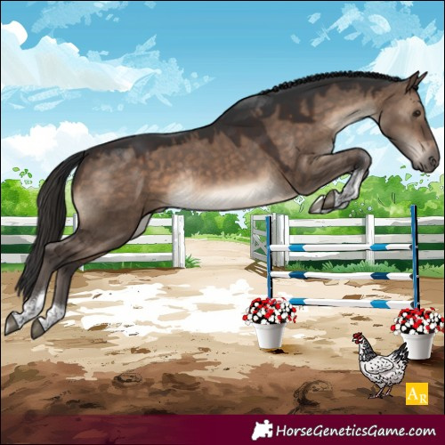Horse Color:Brown Dun Tobiano Rabicano