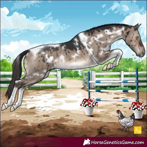 Horse Color:White Spotted Brown Dun Tobiano Rabicano Brindle 