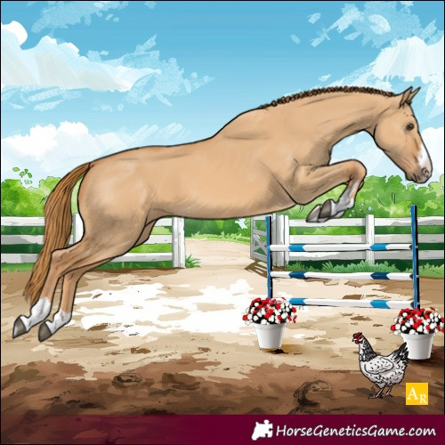 Horse Color:Red Dun 