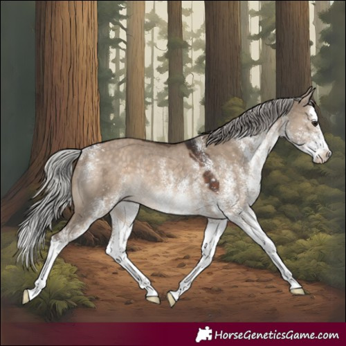 Horse Color:White Spotted Silver Brown Dun Splash Rabicano