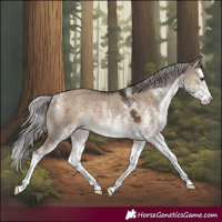 Horse Color:White Spotted Silver Brown Dun Splash Rabicano 