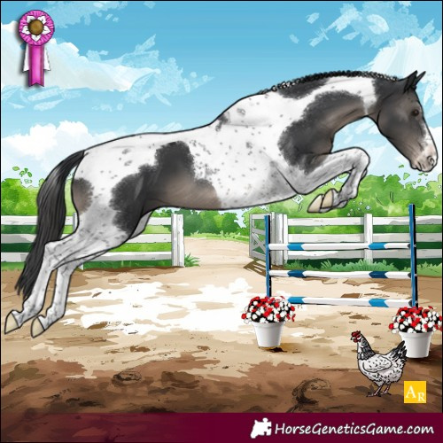Horse Color:Black Tobiano Snowcap