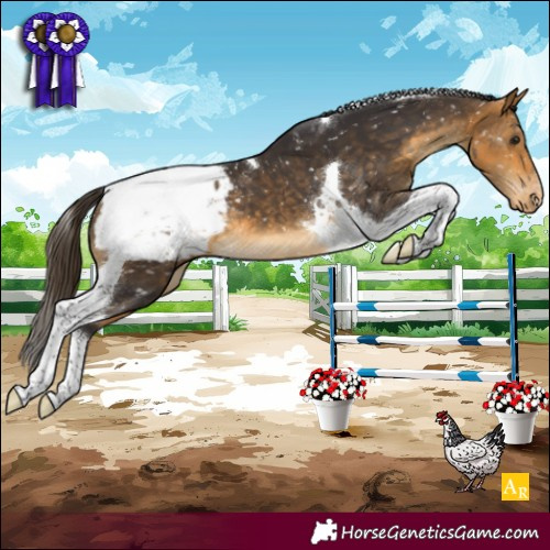 Horse Color:Buckskin Tobiano Snowcap