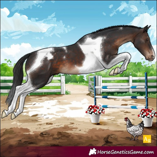 Horse Color:Brown Tobiano Blanket