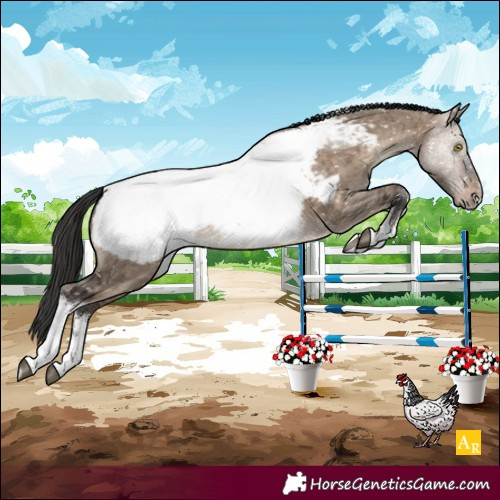 Horse Color:White Spotted Brown Dun Tobiano Near Fewspot Brindle 