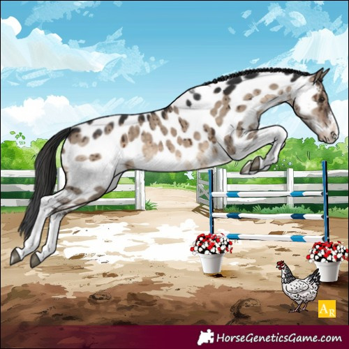 Horse Color:White Spotted Brown Dun Tobiano Appaloosa Brindle 