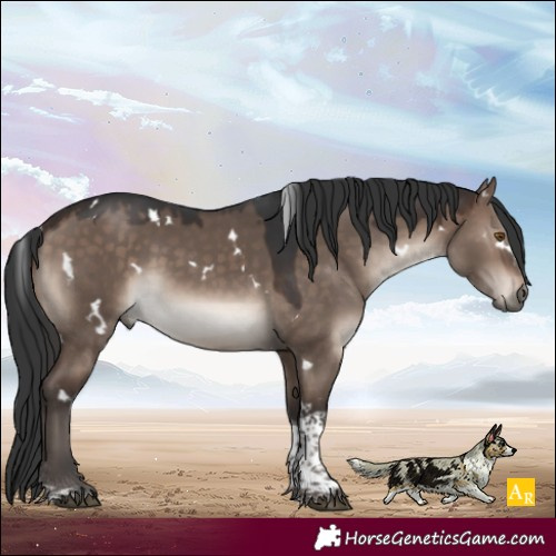 Horse Color:White Spotted Brown Dun Mushroom Tobiano Rabicano