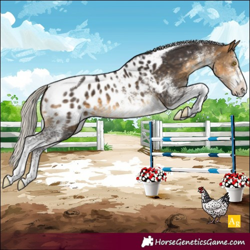 Horse Color:White Spotted Silver Buckskin Tobiano Blanket