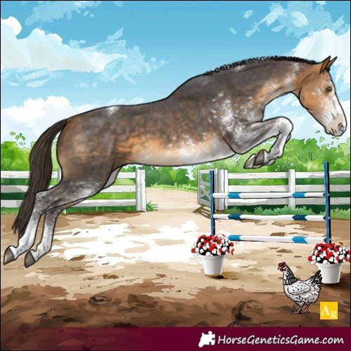 Horse Color:White Spotted Buckskin Tobiano Varnish 