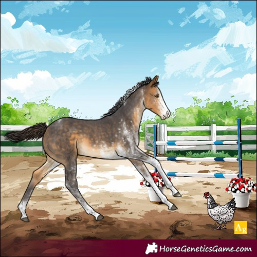 Horse Color:White Spotted Buckskin Tobiano Appaloosa 