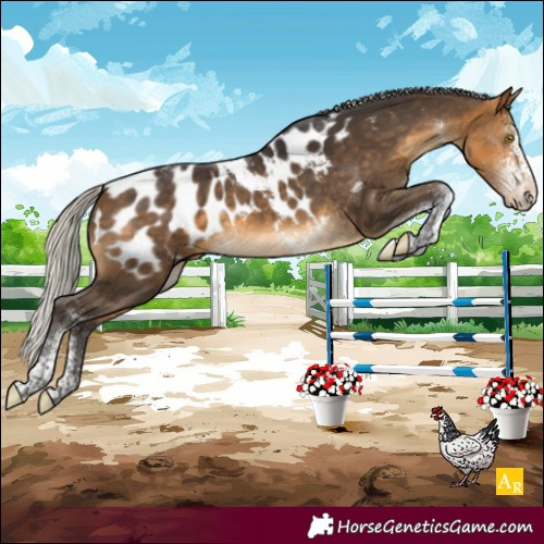 Horse Color:White Spotted Silver Buckskin Tobiano Appaloosa