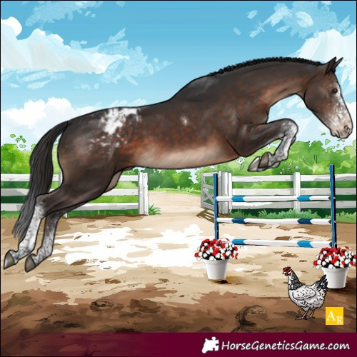 Horse Color:White Spotted Brown Tobiano Blanket