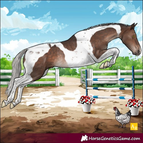 Horse Color:Silver Brown Mushroom Tobiano Rabicano