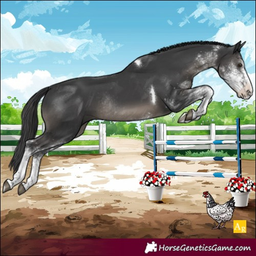 Horse Color:White Spotted Black Mushroom Tobiano Varnish Rabicano