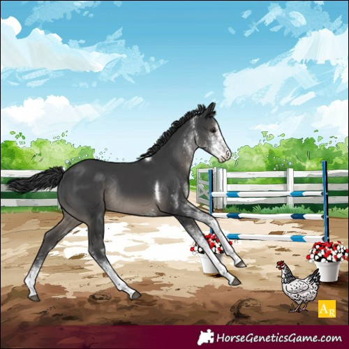 Horse Color:White Spotted Black Mushroom Tobiano Appaloosa Rabicano 