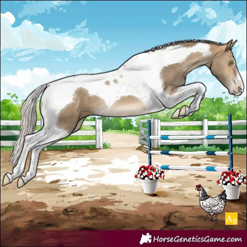 Horse Color:Silver Buckskin Mushroom Tobiano