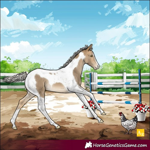 Horse Color:Silver Buckskin Mushroom Tobiano 