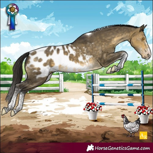 Horse Color:White Spotted Buckskin Dun Mushroom Tobiano Blanket Rabicano