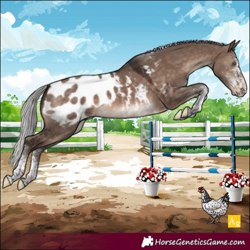 Horse Color:White Spotted Silver Brown Dun Mushroom Tobiano Blanket 