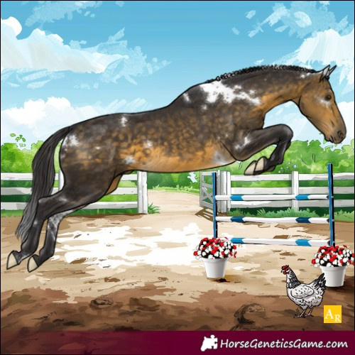 Horse Color:White Spotted Buckskin 
