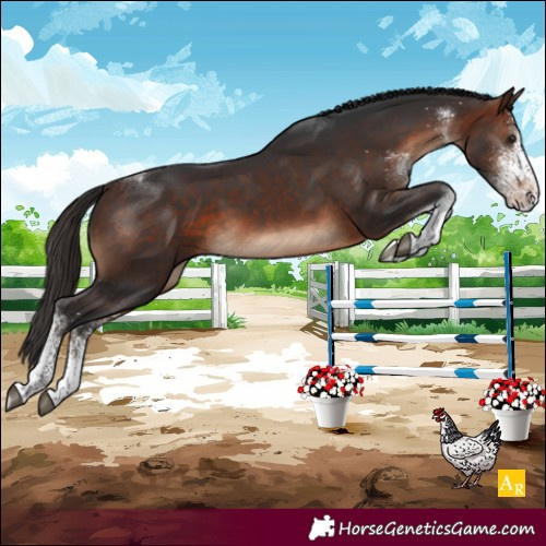 Horse Color:White Spotted Brown Tobiano