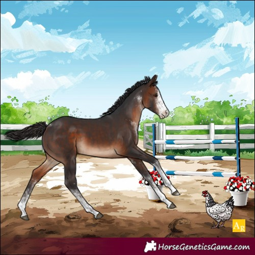 Horse Color:White Spotted Brown Tobiano