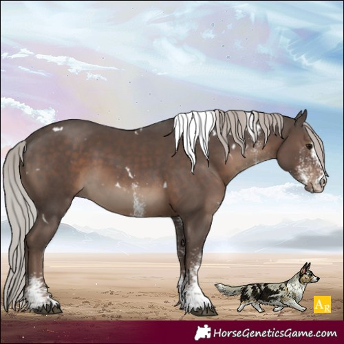 Horse Color:White Spotted Silver Black