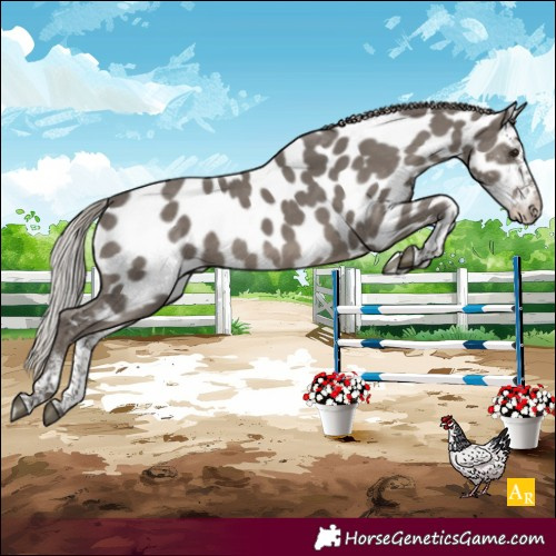 Horse Color:White Spotted Silver Black Tobiano Near Leopard 
