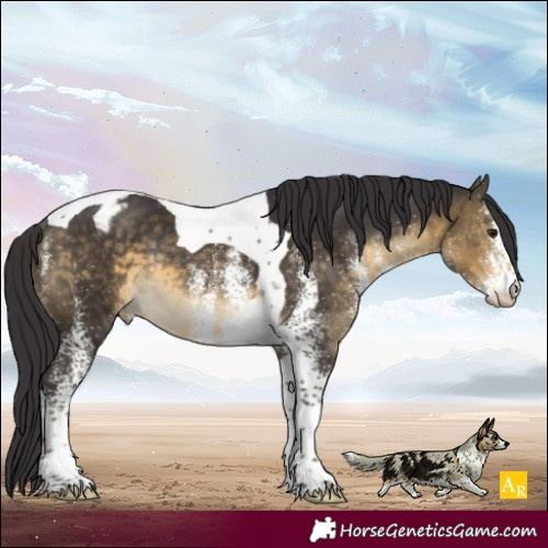 Horse Color:White Spotted Buckskin Tobiano Varnish Rabicano 