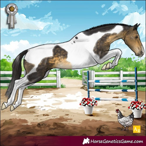 Horse Color:Buckskin Tobiano