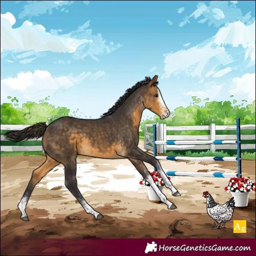 Horse Color:White Spotted Buckskin Tobiano