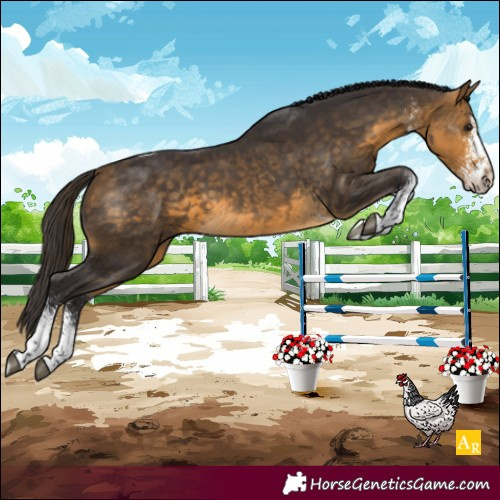 Horse Color:White Spotted Buckskin Tobiano
