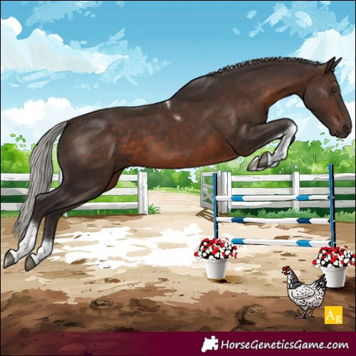 Horse Color:Silver Brown Tobiano 