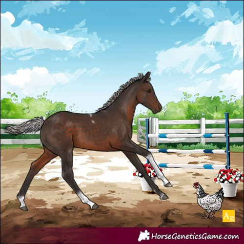 Horse Color:Silver Brown Tobiano