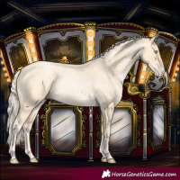 Horse Color:Palomino Roan Pearl